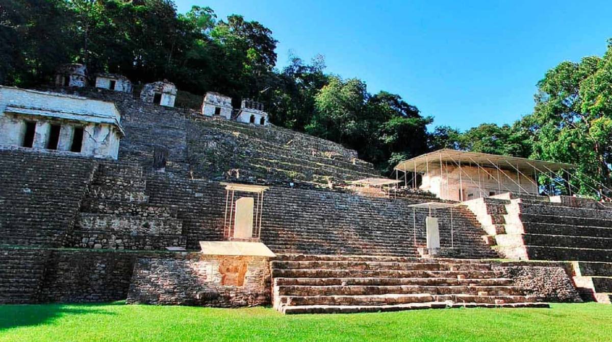 Chiapas Selvático