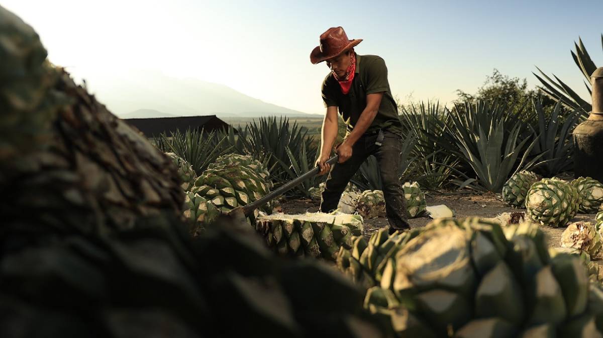 Oaxaca Experiencias