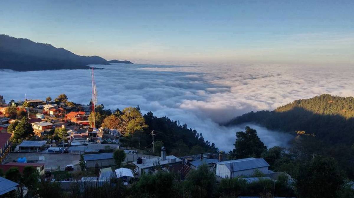 Experiencia San José del Pacífico