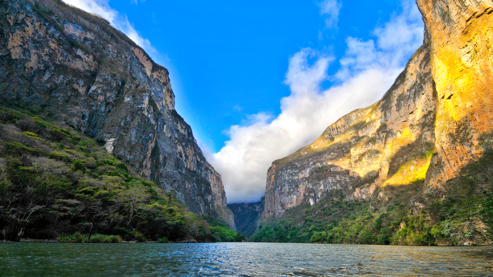 Una aventura extraordinaria